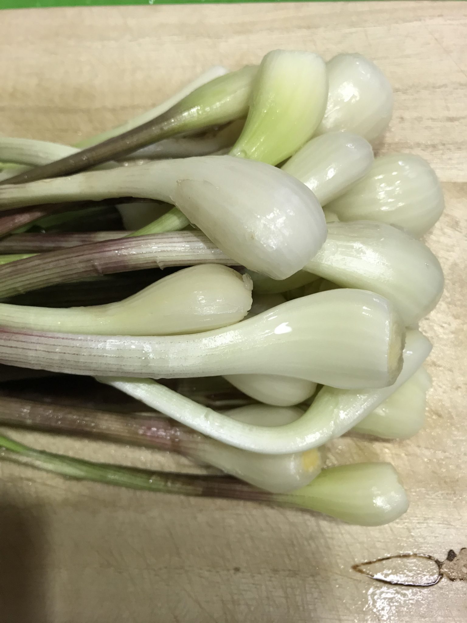 エシャレットは爽やかな風味 – 丹波ベジキッチン